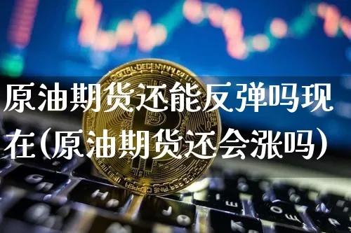 原油期货还能反弹吗现在(原油期货还会涨吗)_https://www.tuogunzhijia.com_纳指期货_第1张