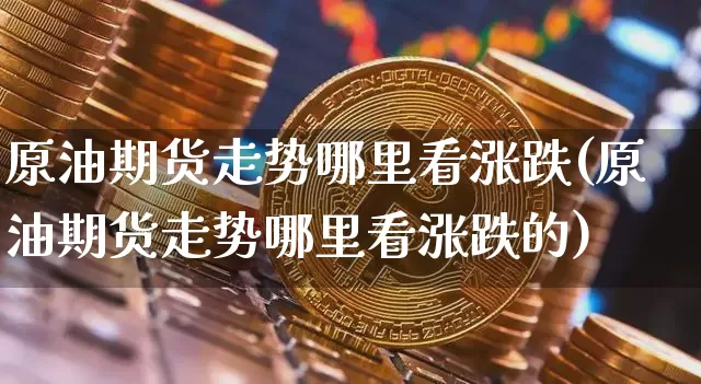 原油期货走势哪里看涨跌(原油期货走势哪里看涨跌的)_https://www.tuogunzhijia.com_道指期货_第1张