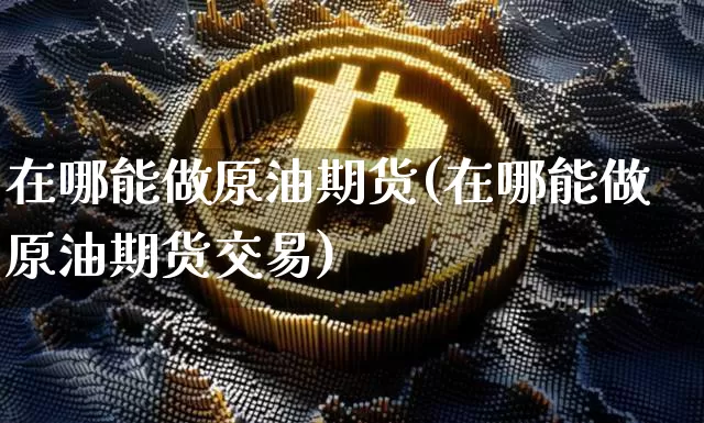 在哪能做原油期货(在哪能做原油期货交易)_https://www.tuogunzhijia.com_国际期货_第1张