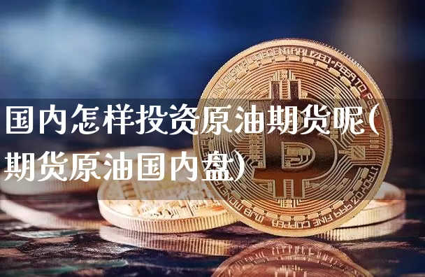 国内怎样投资原油期货呢(期货原油国内盘)_https://www.tuogunzhijia.com_恒指期货_第1张
