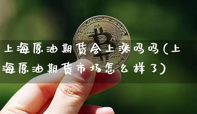 上海原油期货会上涨吗吗(上海原油期货市场怎么样了)_https://www.tuogunzhijia.com_黄金期货_第1张