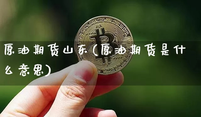 原油期货山东(原油期货是什么意思)_https://www.tuogunzhijia.com_黄金期货_第1张