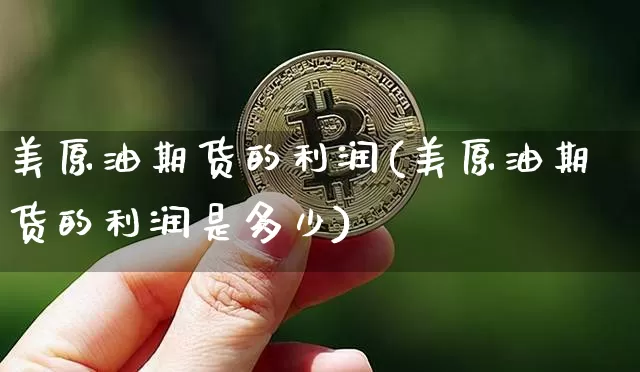 美原油期货的利润(美原油期货的利润是多少)_https://www.tuogunzhijia.com_国际期货_第1张