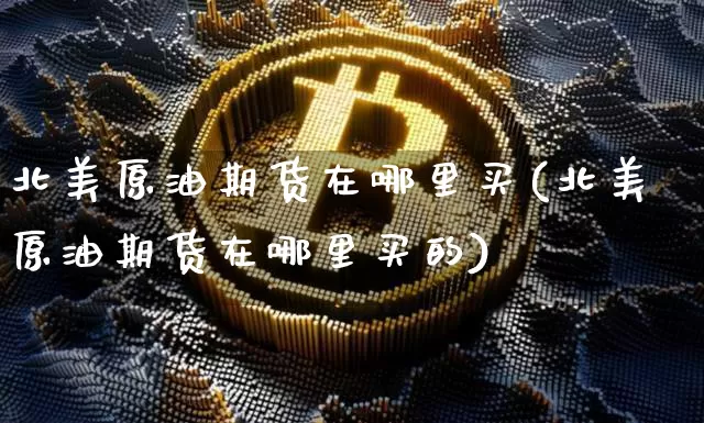 北美原油期货在哪里买(北美原油期货在哪里买的)_https://www.tuogunzhijia.com_道指期货_第1张