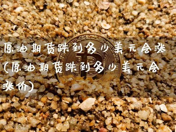 原油期货跌到多少美元会涨(原油期货跌到多少美元会涨价)_https://www.tuogunzhijia.com_国际期货_第1张