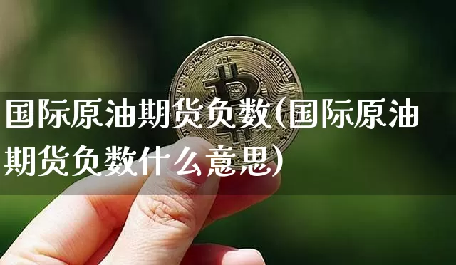 国际原油期货负数(国际原油期货负数什么意思)_https://www.tuogunzhijia.com_原油期货_第1张