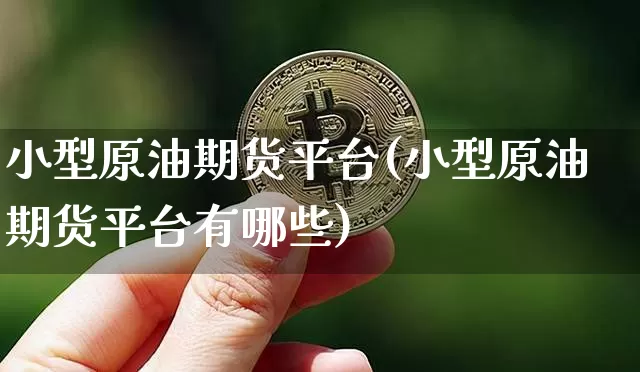 小型原油期货平台(小型原油期货平台有哪些)_https://www.tuogunzhijia.com_恒指期货_第1张