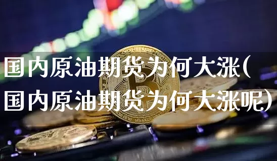 国内原油期货为何大涨(国内原油期货为何大涨呢)_https://www.tuogunzhijia.com_道指期货_第1张