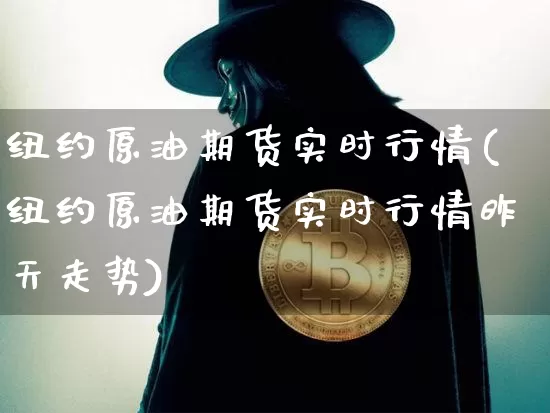 纽约原油期货实时行情(纽约原油期货实时行情昨天走势)_https://www.tuogunzhijia.com_道指期货_第1张