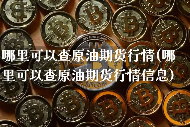 哪里可以查原油期货行情(哪里可以查原油期货行情信息)_https://www.tuogunzhijia.com_道指期货_第1张