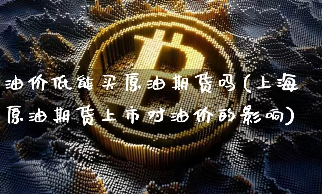 油价低能买原油期货吗(上海原油期货上市对油价的影响)_https://www.tuogunzhijia.com_原油期货_第1张
