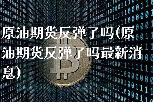 原油期货反弹了吗(原油期货反弹了吗最新消息)_https://www.tuogunzhijia.com_道指期货_第1张