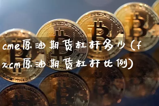 cme原油期货杠杆多少(fxcm原油期货杠杆比例)_https://www.tuogunzhijia.com_内盘期货_第1张