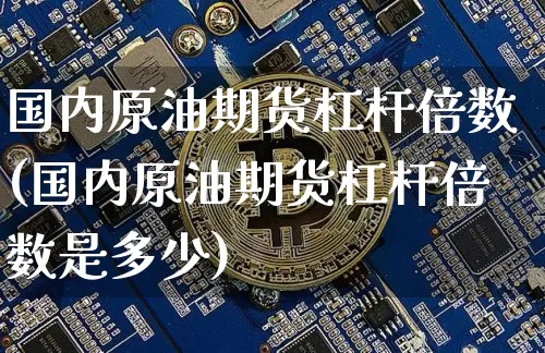 国内原油期货杠杆倍数(国内原油期货杠杆倍数是多少)_https://www.tuogunzhijia.com_原油期货_第1张