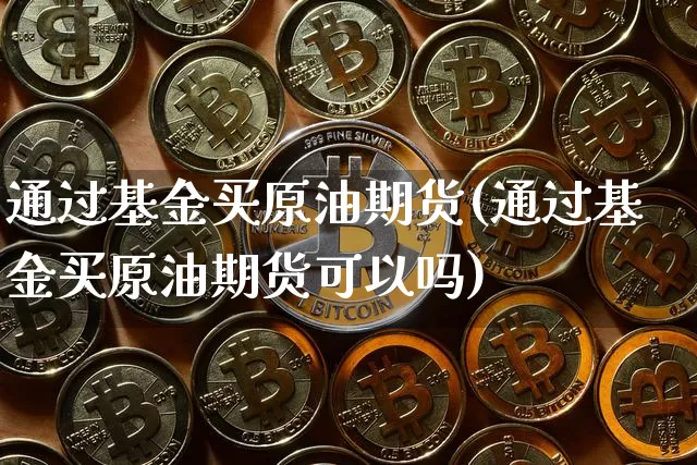 通过基金买原油期货(通过基金买原油期货可以吗)_https://www.tuogunzhijia.com_内盘期货_第1张