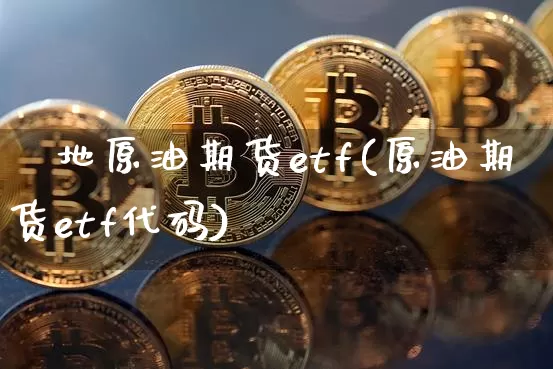 內地原油期货etf(原油期货etf代码)_https://www.tuogunzhijia.com_纳指期货_第1张