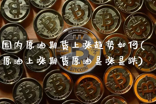 国内原油期货上涨趋势如何(原油上涨期货原油是涨是跌)_https://www.tuogunzhijia.com_国际期货_第1张
