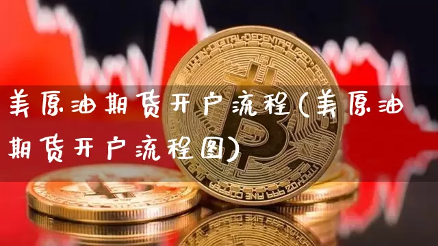 美原油期货开户流程(美原油期货开户流程图)_https://www.tuogunzhijia.com_黄金期货_第1张