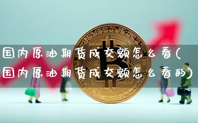 国内原油期货成交额怎么看(国内原油期货成交额怎么看的)_https://www.tuogunzhijia.com_恒指期货_第1张