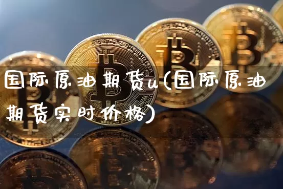 国际原油期货u(国际原油期货实时价格)_https://www.tuogunzhijia.com_国际期货_第1张