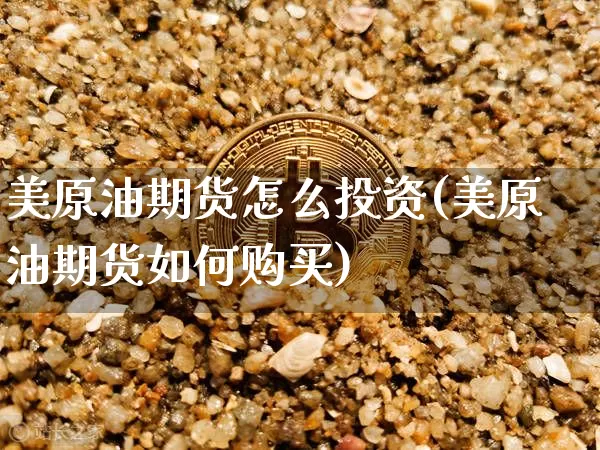 美原油期货怎么投资(美原油期货如何购买)_https://www.tuogunzhijia.com_内盘期货_第1张