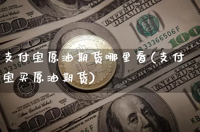 支付宝原油期货哪里看(支付宝买原油期货)_https://www.tuogunzhijia.com_纳指期货_第1张