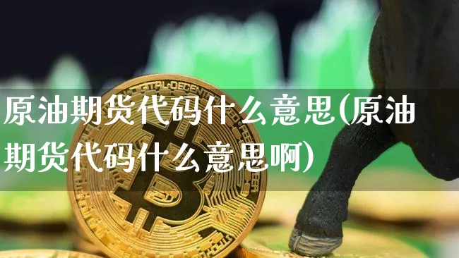 原油期货代码什么意思(原油期货代码什么意思啊)_https://www.tuogunzhijia.com_国际期货_第1张