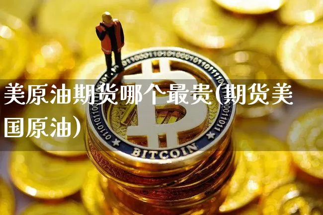 美原油期货哪个最贵(期货美国原油)_https://www.tuogunzhijia.com_黄金期货_第1张