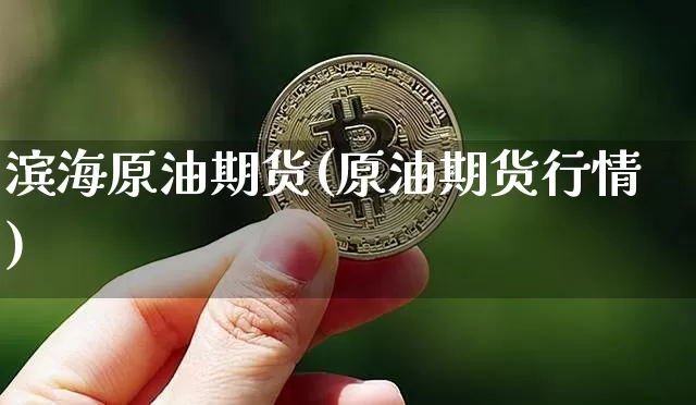 滨海原油期货(原油期货行情)_https://www.tuogunzhijia.com_恒指期货_第1张