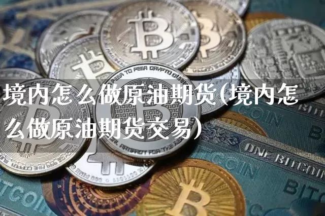 境内怎么做原油期货(境内怎么做原油期货交易)_https://www.tuogunzhijia.com_原油期货_第1张