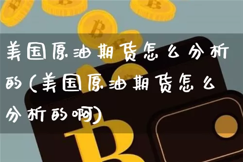 美国原油期货怎么分析的(美国原油期货怎么分析的啊)_https://www.tuogunzhijia.com_恒指期货_第1张