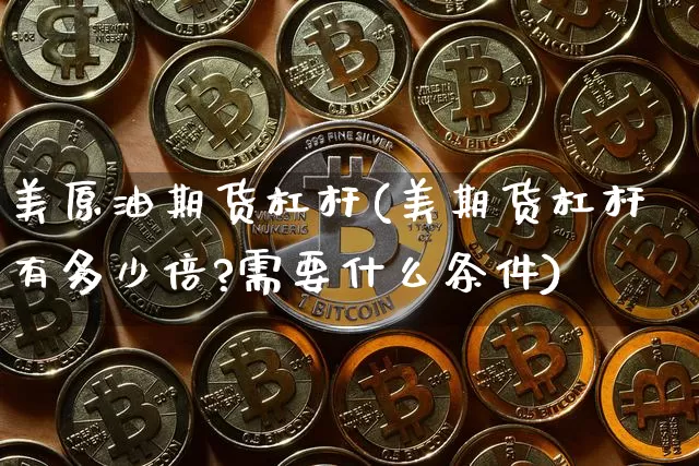美原油期货杠杆(美期货杠杆有多少倍?需要什么条件)_https://www.tuogunzhijia.com_国际期货_第1张