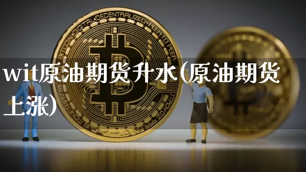 wit原油期货升水(原油期货上涨)_https://www.tuogunzhijia.com_道指期货_第1张
