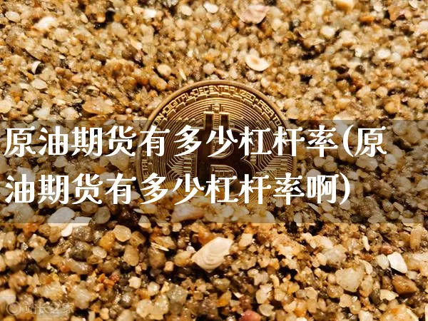 原油期货有多少杠杆率(原油期货有多少杠杆率啊)_https://www.tuogunzhijia.com_纳指期货_第1张