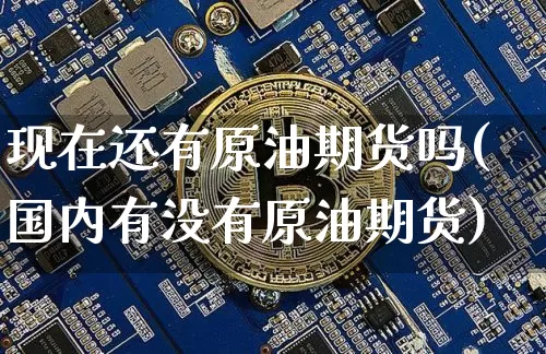 现在还有原油期货吗(国内有没有原油期货)_https://www.tuogunzhijia.com_原油期货_第1张