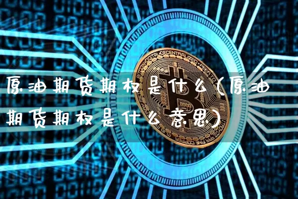 原油期货期权是什么(原油期货期权是什么意思)_https://www.tuogunzhijia.com_恒指期货_第1张
