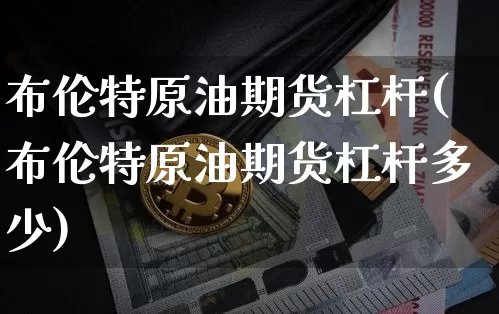 布伦特原油期货杠杆(布伦特原油期货杠杆多少)_https://www.tuogunzhijia.com_恒指期货_第1张