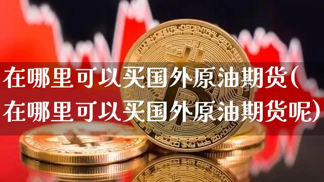 在哪里可以买国外原油期货(在哪里可以买国外原油期货呢)_https://www.tuogunzhijia.com_纳指期货_第1张