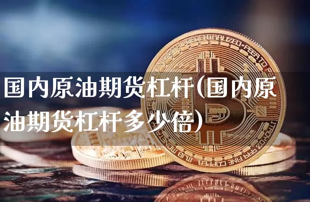 国内原油期货杠杆(国内原油期货杠杆多少倍)_https://www.tuogunzhijia.com_恒指期货_第1张