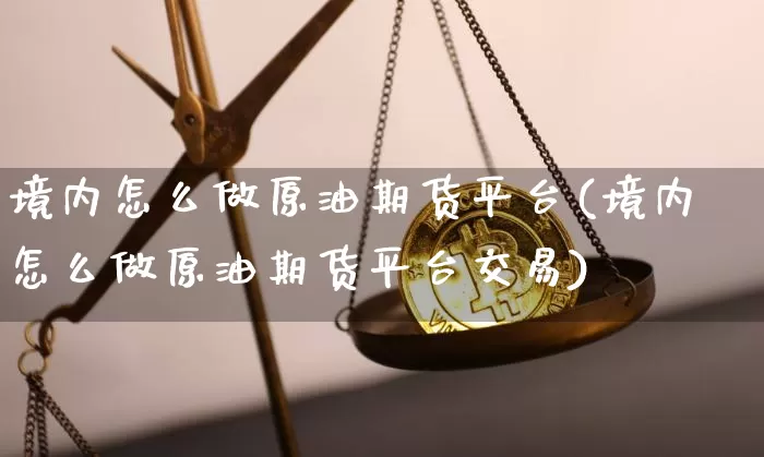 境内怎么做原油期货平台(境内怎么做原油期货平台交易)_https://www.tuogunzhijia.com_道指期货_第1张