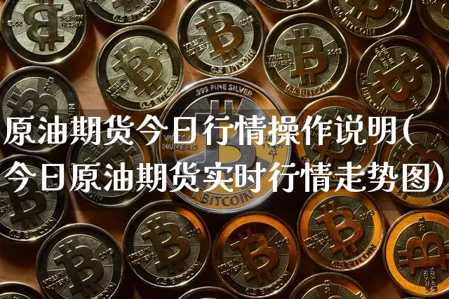 原油期货今日行情操作说明(今日原油期货实时行情走势图)_https://www.tuogunzhijia.com_纳指期货_第1张