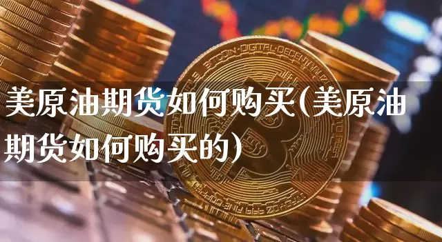 美原油期货如何购买(美原油期货如何购买的)_https://www.tuogunzhijia.com_恒指期货_第1张
