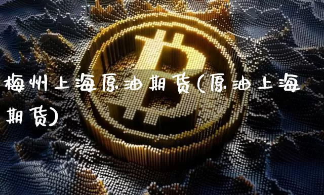 梅州上海原油期货(原油上海期货)_https://www.tuogunzhijia.com_恒指期货_第1张