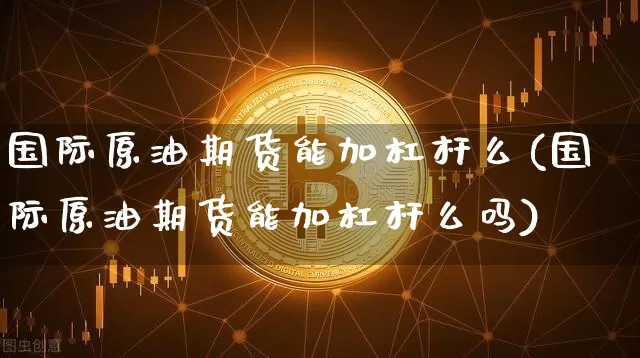 国际原油期货能加杠杆么(国际原油期货能加杠杆么吗)_https://www.tuogunzhijia.com_黄金期货_第1张