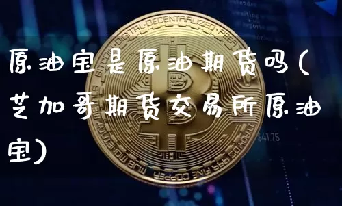 原油宝是原油期货吗(芝加哥期货交易所原油宝)_https://www.tuogunzhijia.com_黄金期货_第1张