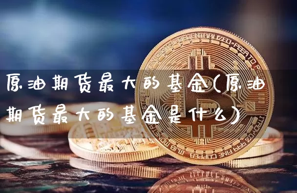 原油期货最大的基金(原油期货最大的基金是什么)_https://www.tuogunzhijia.com_黄金期货_第1张