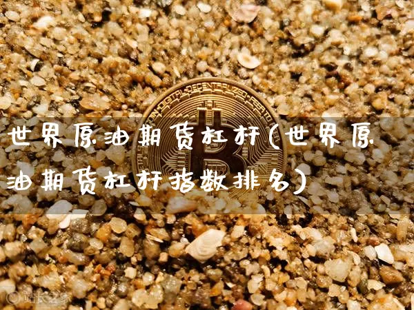 世界原油期货杠杆(世界原油期货杠杆指数排名)_https://www.tuogunzhijia.com_原油期货_第1张