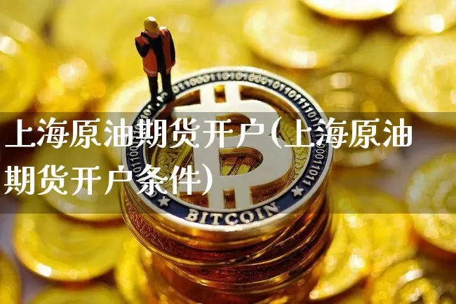 上海原油期货开户(上海原油期货开户条件)_https://www.tuogunzhijia.com_原油期货_第1张