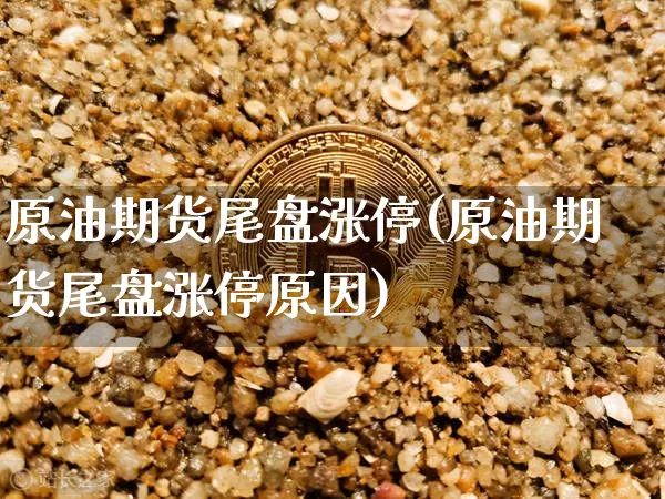 原油期货尾盘涨停(原油期货尾盘涨停原因)_https://www.tuogunzhijia.com_黄金期货_第1张