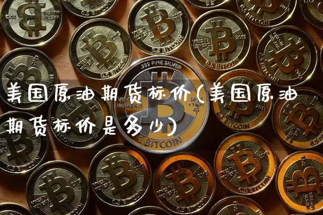 美国原油期货标价(美国原油期货标价是多少)_https://www.tuogunzhijia.com_恒指期货_第1张